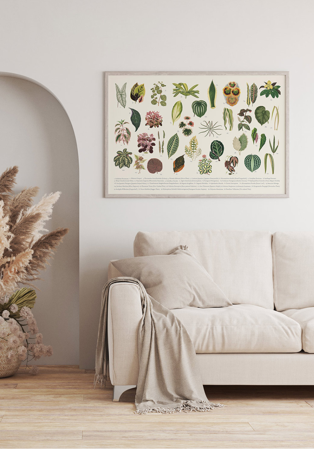Affiches plantes différentes feuilles Décor mural cuisine