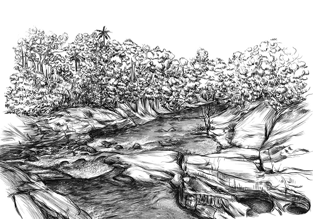 Affiche paysage rivière arbres végétation décoration murale