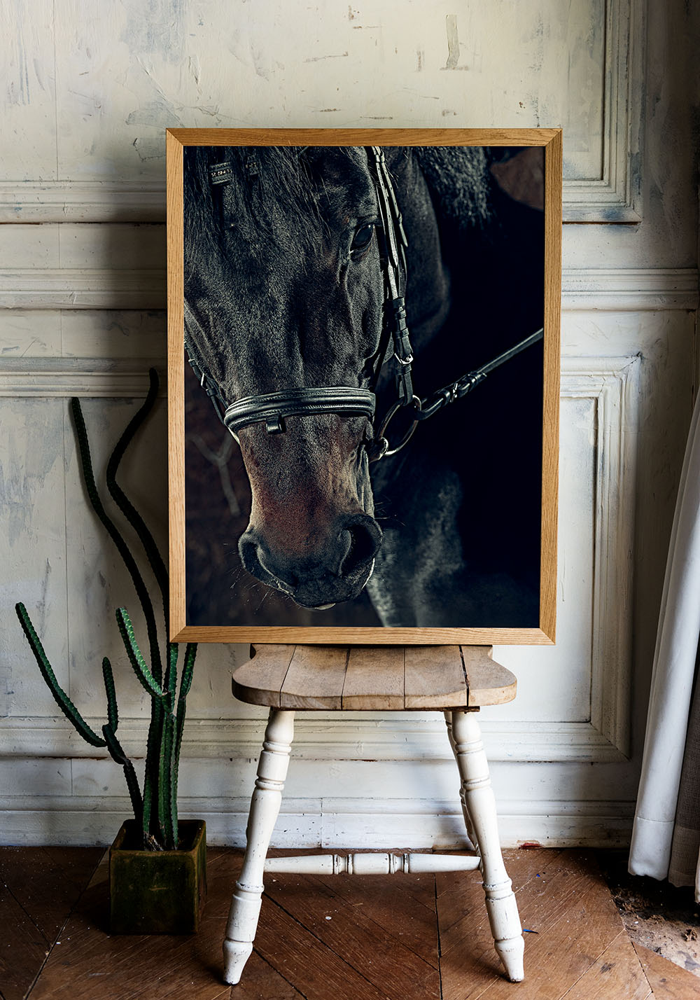 Affiche cheval